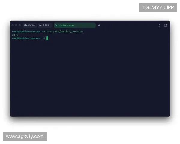 探寻kaiyun官方网站入口的最佳途径，轻松获取所需信息